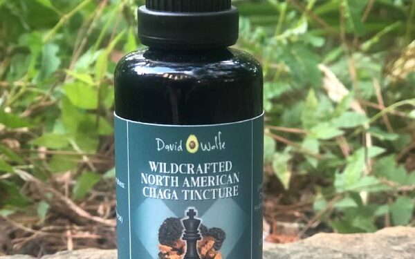 Chaga Mushroom TinctureWildcrafted North American Chaga (Inonotus obliquus) TinctureDual ExtractionThe King of the Medic…