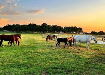 Texas Senate Passes Legislation Banning ‘Hostile Foreign Nations’ From Buying Farmland