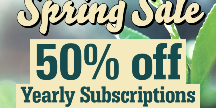 The VC Spring Sale: 50% Off Yearly Subscriptions!
