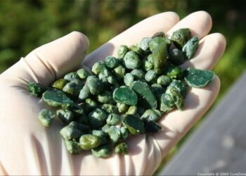 The most important cleanse you will ever do