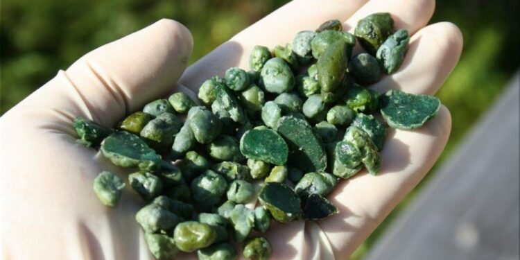 The most important cleanse you will ever do