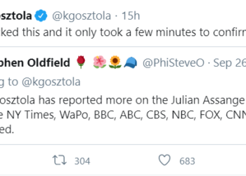 Your Man in the Public Gallery: Assange Hearing Day 18