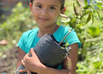 A portion of all proceeds from the sale of our products at: https://bit.ly/DavidWolfeShop goes to our beloved Fruit Tree…