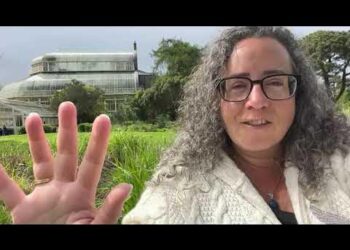 Abby Wynne reviews "God Wins" by Mark Attwood