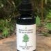 An American Original: Wildcrafted Texas Loblolly Pine Pollen Tincture. This is the first American Loblolly Pine Pollen p…