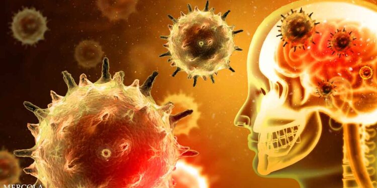 Can You 'Catch' Alzheimer's Disease?