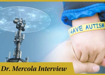 Could EMFs Play a Role in the Development of Autism?