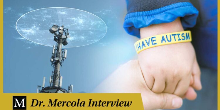 Could EMFs Play a Role in the Development of Autism?