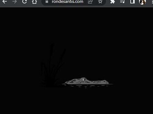 DeSantis To Announce 2024 Run On Twitter With Elon Musk