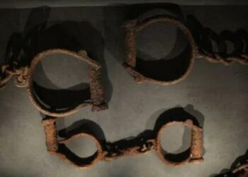 Do Whites Also Deserve Reparations?