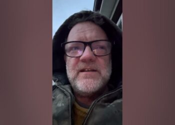 Don’t Comply (garden edition)