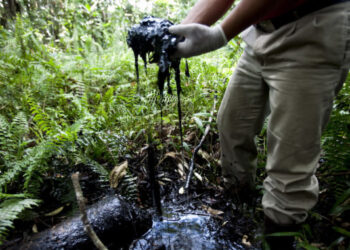 Donziger: A Tale For Our Times