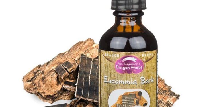 Eucommia Tincturehttps://bit.ly/Eucommia-JingEucommia is a tree bark of an ancient race of trees that almost entirely di…