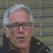 Jeffrey Epstein Moved $270,000 For Noam Chomsky, Paid Leon Botstein $150K