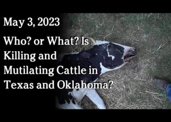 May 3 – Who? or What? Is Killing and Mutilating Cattle in Texas and Oklahoma?