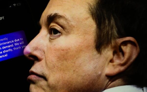 Musk Taking Heat for Twitter CEO Choice