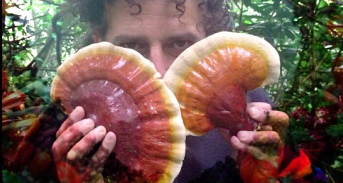 ⚗️🍄🌲 Our 22 Reishis supply is sporadic (pun intended)! Currently, we have 25 new bottles — tough to get! Now is the Ti…