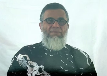 THE FIRE ANTS OF GUANTÁNAMO BAY