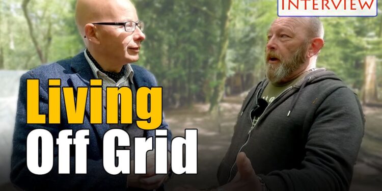 The Secret Cabin in woods