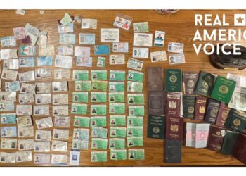 These are the IDs we found on the border in Yuma, AZ. Why would people drop their IDs you might ask? The answer is simpl…