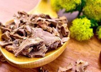 This Herb Can Help You Workout Harder and Recover Faster