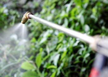 This Herbicide Is Unregulated Despite Court Order