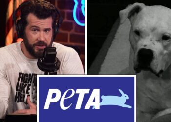 Top 5 EVIL FACTS About PETA You Didn't Know!