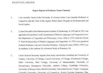 Your Man in the Public Gallery: Assange Hearing Day 21