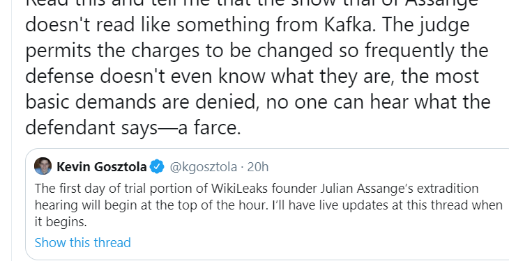 Your Man in the Public Gallery: the Assange Hearing Day 6