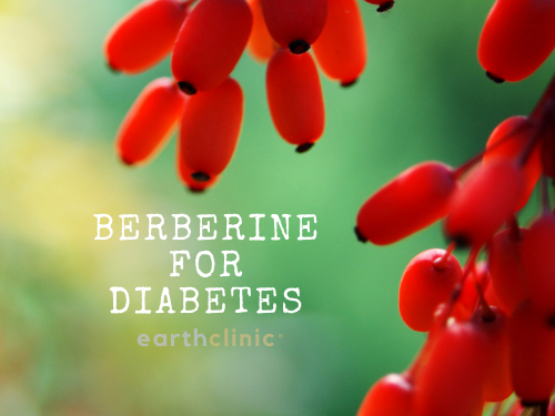 Diabetes Type II and Berberine: Dosage and Research