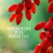Diabetes Type II and Berberine: Dosage and Research
