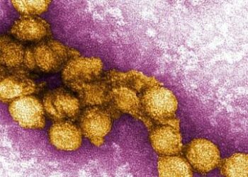 Health Officials Put Americans On Notice Over West Nile Virus