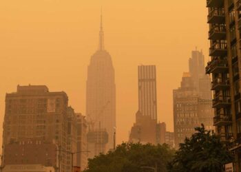 How Wildfires Can Teach Us More About Respiratory Disease