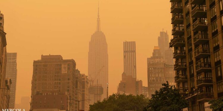 How Wildfires Can Teach Us More About Respiratory Disease