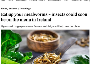 Ireland Mulls Over Plan To Kill 200,000 Cows To Fight Climate Change