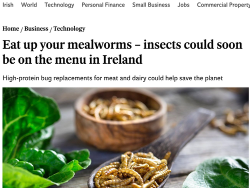 Ireland Mulls Over Plan To Kill 200,000 Cows To Fight Climate Change