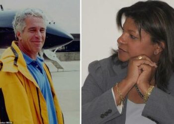 Jeffrey Epstein Paid Tuition For US Virgin Islands First Family, Was Asked To Help Craft Sex Offender Law: JPMorgan