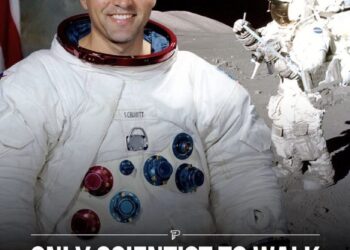 Let’s check in on clown world…