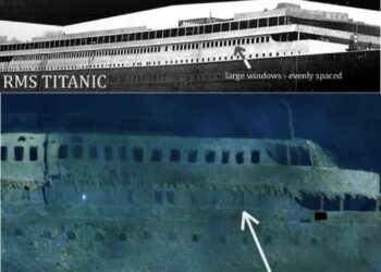 Love this Conspiracy Theory! This one resurfaces every so often. There is a compelling theory that the famed ship at the…