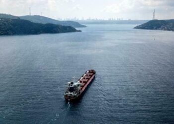 ‘No Chance’ Of Extending Grain Deal, Set To Expire In July: Kremlin