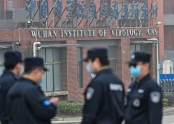 No US 'Political Will' to Hold China 'Accountable' for COVID