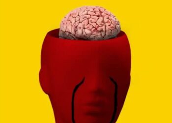 The US Desperately Needs A Political Brain Transplant