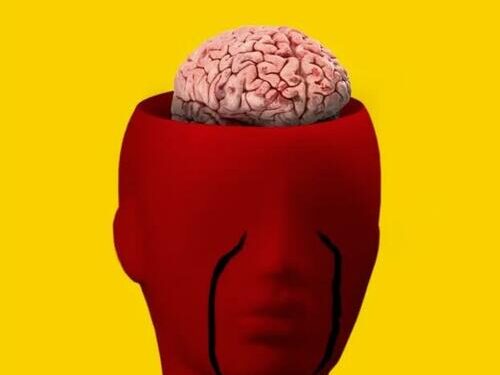 The US Desperately Needs A Political Brain Transplant