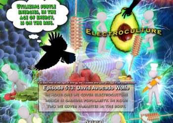 We are beginning to see an explosion in the use of subtle electricity, as is predicted for the age of energy. Electrocul…