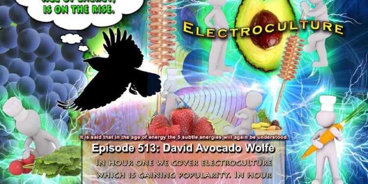 We are beginning to see an explosion in the use of subtle electricity, as is predicted for the age of energy. Electrocul…