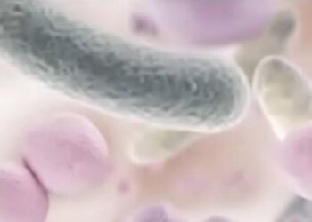 What Do Probiotics Do?Your digestive system already contains good bacteria — aka probiotics. The environment where your…