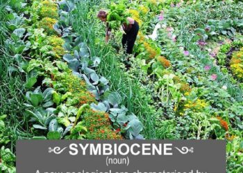 Word of the Day: Symbiocene