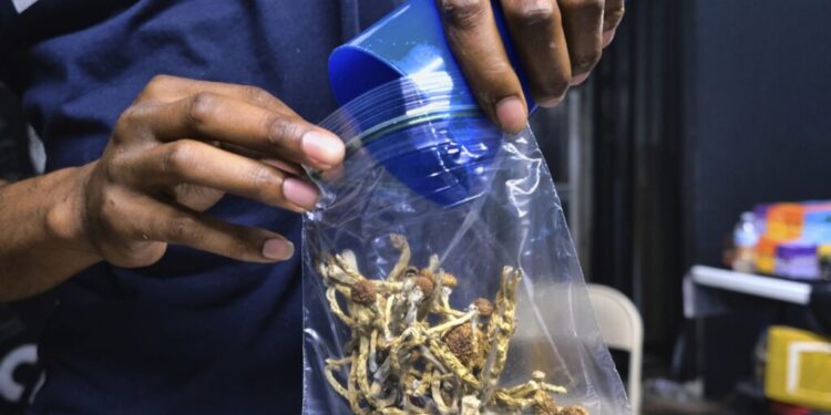 Young Adult ‘Magic’ Mushroom Use Nearly Doubles in 3 Years