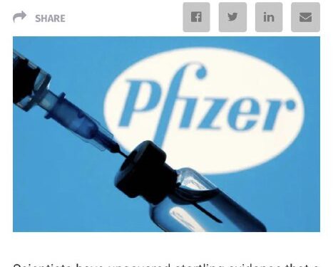 https://dailysceptic.org/2023/06/28/pfizer-vaccine-batches-in-the-eu-were-placebos-say-scientists/