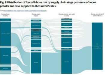 62% Of Food Derived From Forced Labor Is “Likely Produced In The U.S.”